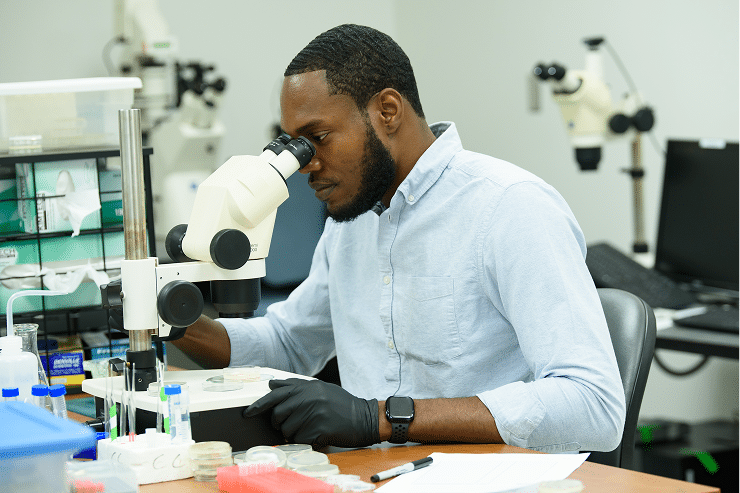 A man wearing a light blue shirt and black gloves looks through a microscope at a lab workstation, surrounded by scientific equipment and samples.